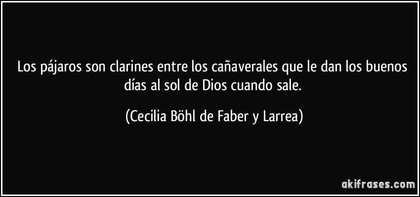 Los pájaros son clarines entre los cañaverales que le dan los buenos días al sol de Dios cuando sale. (Cecilia Böhl de Faber y Larrea)