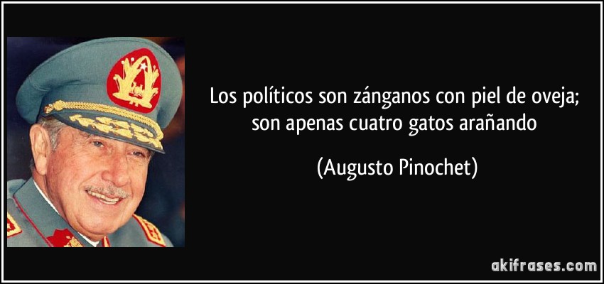 Los políticos son zánganos con piel de oveja; son apenas cuatro gatos arañando (Augusto Pinochet)
