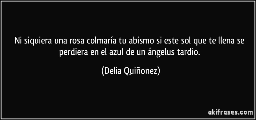 Ni siquiera una rosa colmaría tu abismo si este sol que te llena se perdiera en el azul de un ángelus tardío. (Delia Quiñonez)