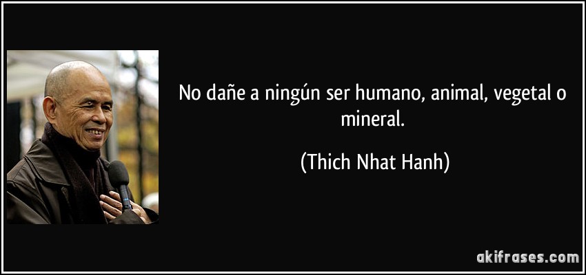 No dañe a ningún ser humano, animal, vegetal o mineral. (Thich Nhat Hanh)