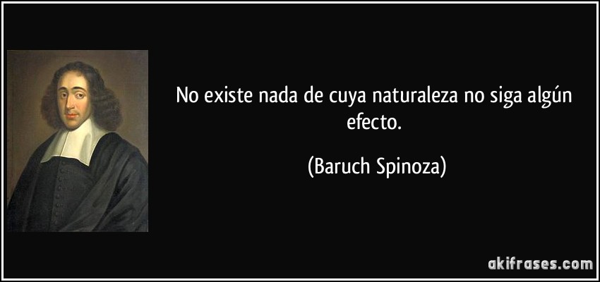 No existe nada de cuya naturaleza no siga algún efecto. (Baruch Spinoza)