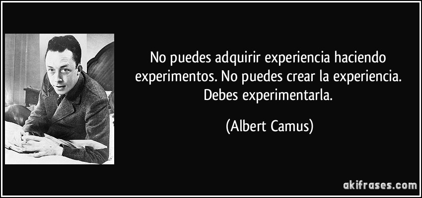 No puedes adquirir experiencia haciendo experimentos. No puedes crear la experiencia. Debes experimentarla. (Albert Camus)