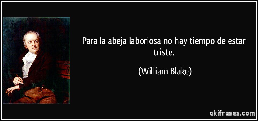 Para la abeja laboriosa no hay tiempo de estar triste. (William Blake)