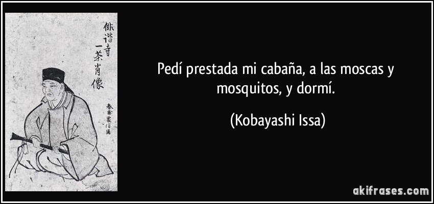 Pedí prestada mi cabaña, a las moscas y mosquitos, y dormí. (Kobayashi Issa)
