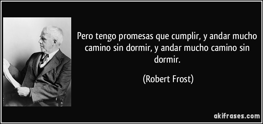 Pero tengo promesas que cumplir, y andar mucho camino sin dormir, y andar mucho camino sin dormir. (Robert Frost)