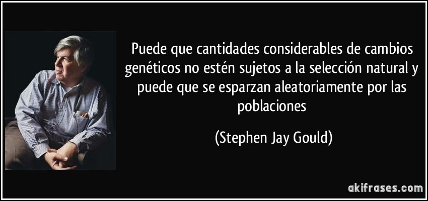 Puede que cantidades considerables de cambios genéticos no estén sujetos a la selección natural y puede que se esparzan aleatoriamente por las poblaciones (Stephen Jay Gould)
