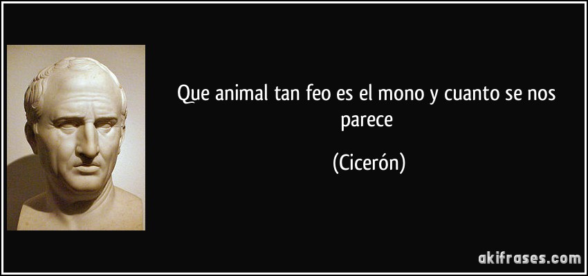 Que animal tan feo es el mono y cuanto se nos parece (Cicerón)