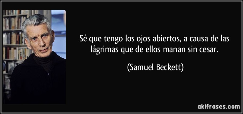 Sé que tengo los ojos abiertos, a causa de las lágrimas que de ellos manan sin cesar. (Samuel Beckett)