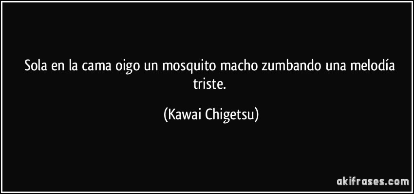 Sola en la cama oigo un mosquito macho zumbando una melodía triste. (Kawai Chigetsu)