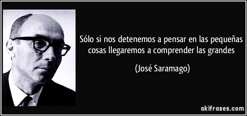 Sólo si nos detenemos a pensar en las pequeñas cosas llegaremos a comprender las grandes (José Saramago)