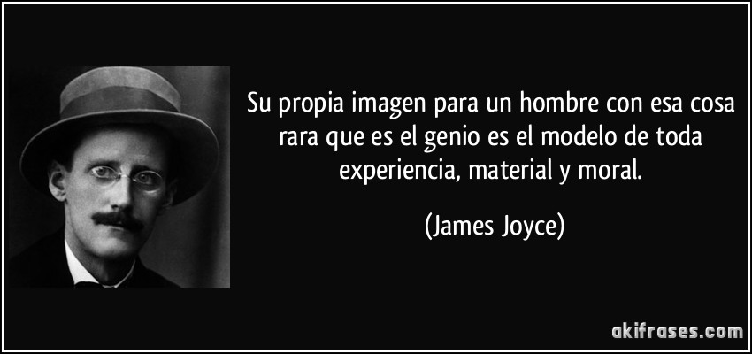 Su propia imagen para un hombre con esa cosa rara que es el genio es el modelo de toda experiencia, material y moral. (James Joyce)
