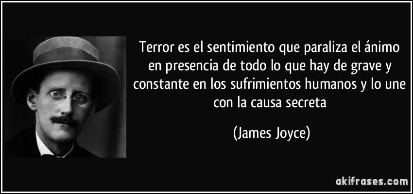 Terror es el sentimiento que paraliza el ánimo en presencia de todo lo que hay de grave y constante en los sufrimientos humanos y lo une con la causa secreta (James Joyce)