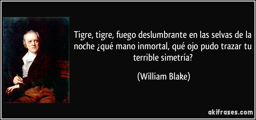 Tigre, tigre, fuego deslumbrante en las selvas de la noche ¿qué mano inmortal, qué ojo pudo trazar tu terrible simetría? (William Blake)