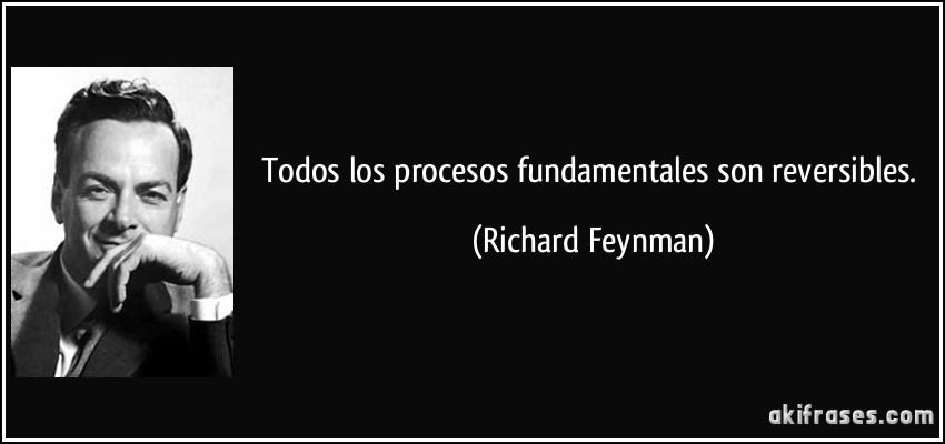 Todos los procesos fundamentales son reversibles. (Richard Feynman)