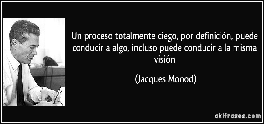Un proceso totalmente ciego, por definición, puede conducir a algo, incluso puede conducir a la misma visión (Jacques Monod)