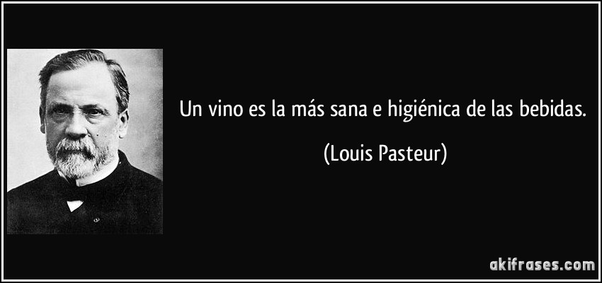 Un vino es la más sana e higiénica de las bebidas. (Louis Pasteur)