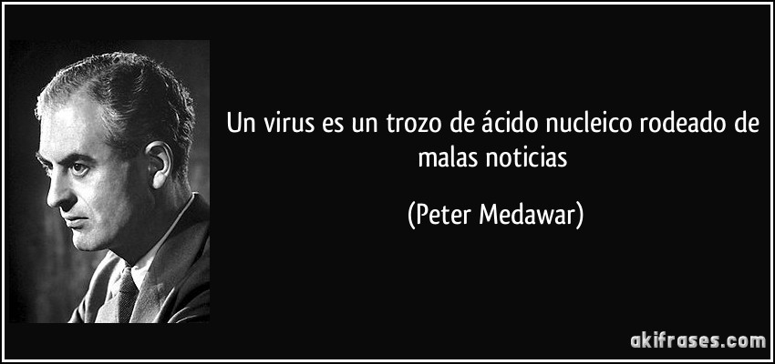 Un virus es un trozo de ácido nucleico rodeado de malas noticias (Peter Medawar)