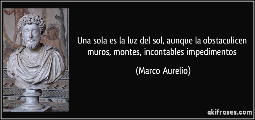 Una sola es la luz del sol, aunque la obstaculicen muros, montes, incontables impedimentos (Marco Aurelio)