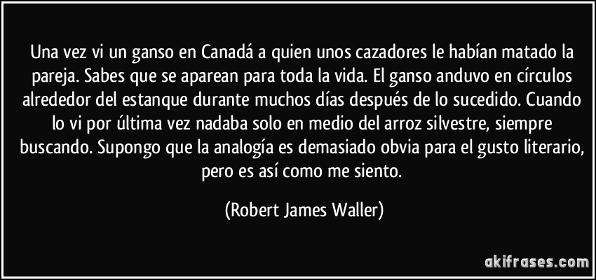 Una vez vi un ganso en Canadá a quien unos cazadores le habían matado la pareja. Sabes que se aparean para toda la vida. El ganso anduvo en círculos alrededor del estanque durante muchos días después de lo sucedido. Cuando lo vi por última vez nadaba solo en medio del arroz silvestre, siempre buscando. Supongo que la analogía es demasiado obvia para el gusto literario, pero es así como me siento. (Robert James Waller)