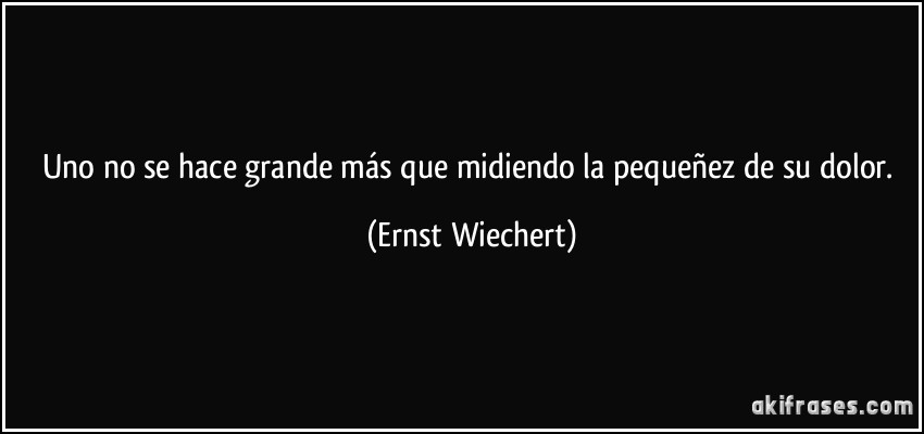 Uno no se hace grande más que midiendo la pequeñez de su dolor. (Ernst Wiechert)