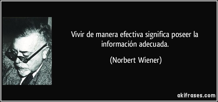 Vivir de manera efectiva significa poseer la información adecuada. (Norbert Wiener)