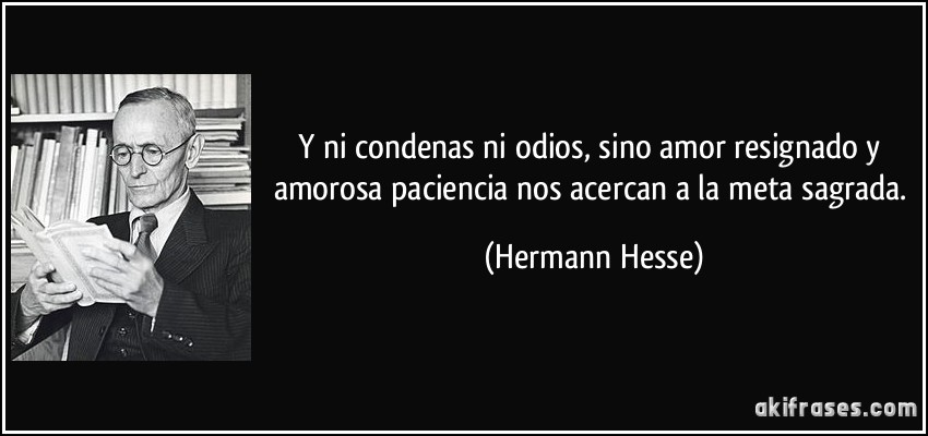 Y ni condenas ni odios, sino amor resignado y amorosa paciencia nos acercan a la meta sagrada. (Hermann Hesse)